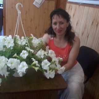 User photo